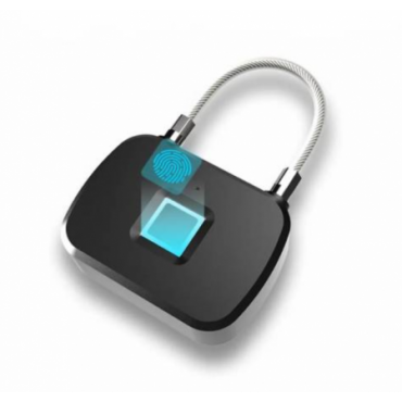 Fingerprint lock